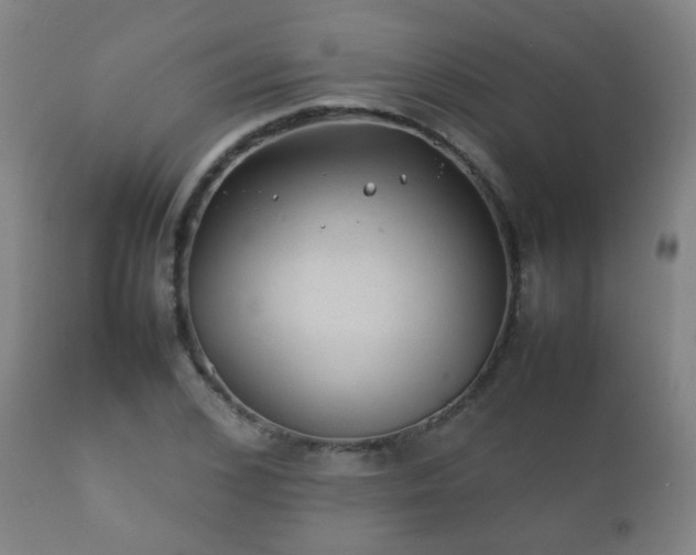 X0000112410976200908211118