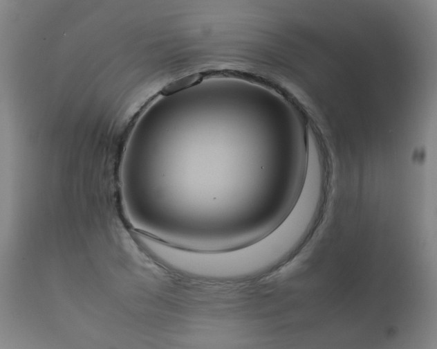 X0000112410977200908211118
