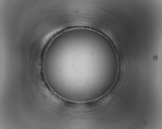 X0000112410979200908211118