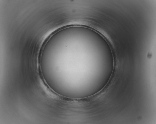 X0000112410980200908211118