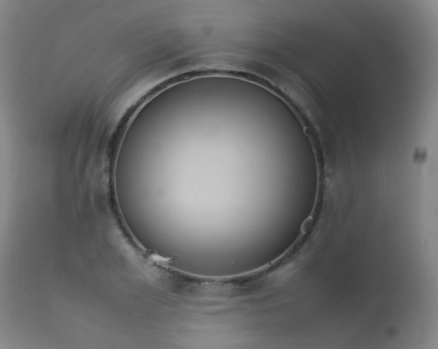 X0000112410981200908211118