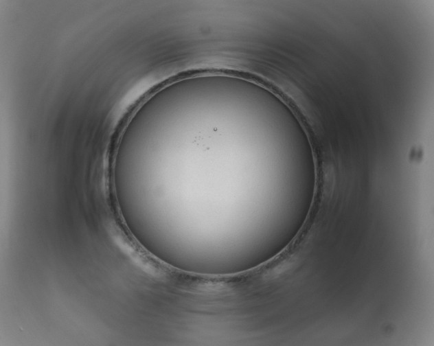 X0000112410982200908211118