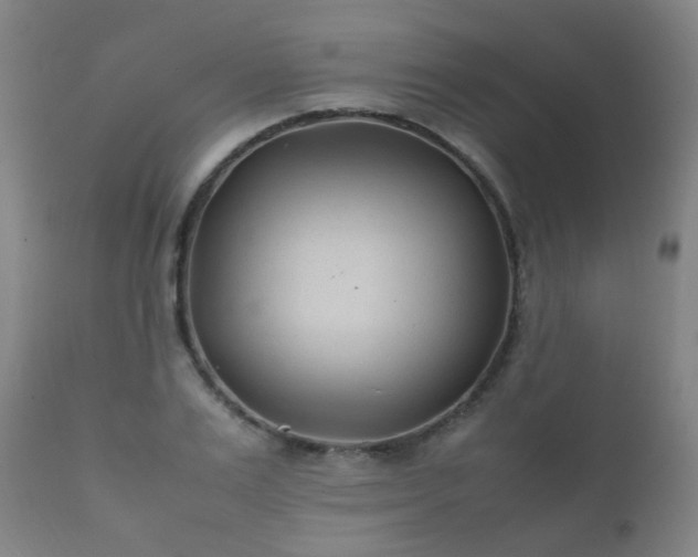 X0000112410983200908211118