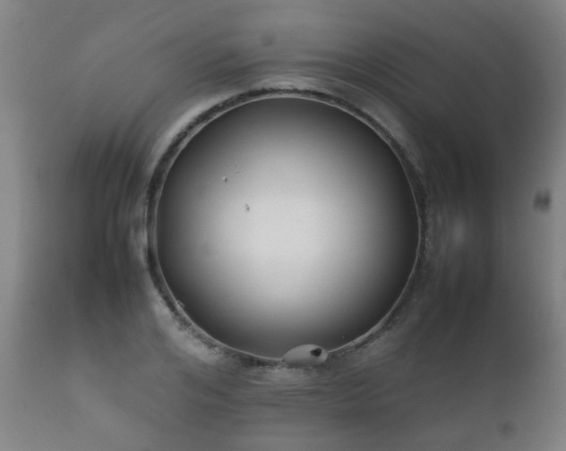 X0000112410984200908211118