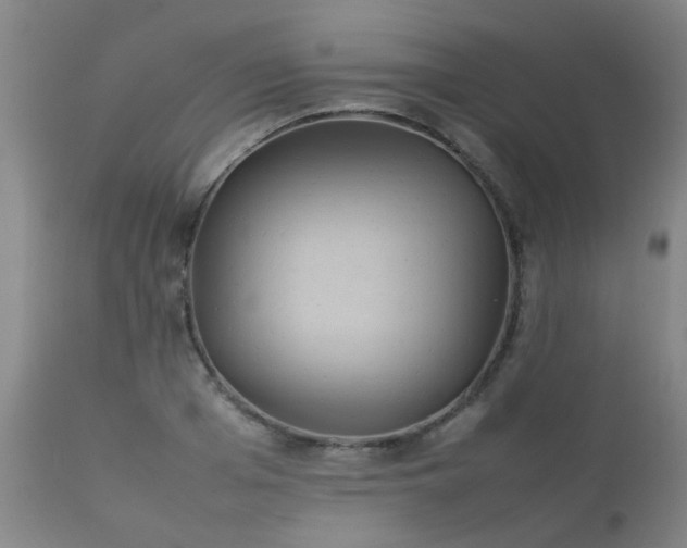 X0000112410985200908211118