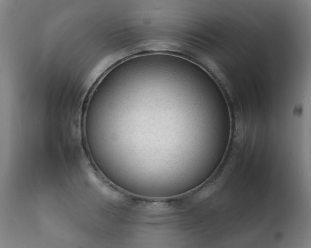 X0000112410986200908211118