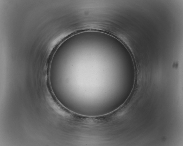 X0000112410987200908211118