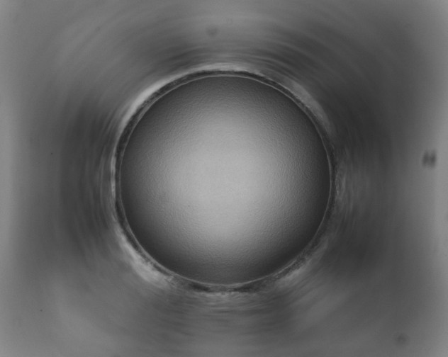 X0000112410988200908211118