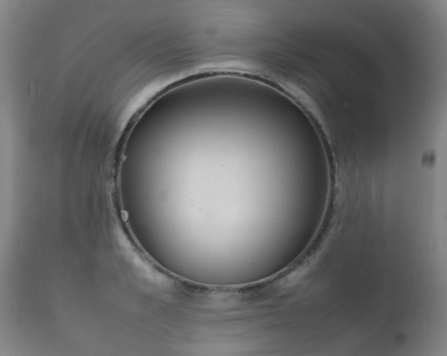 X0000112410989200908211118