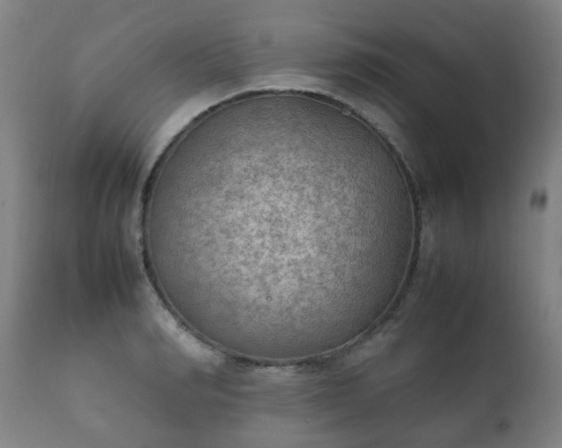 X0000112410990200908211118