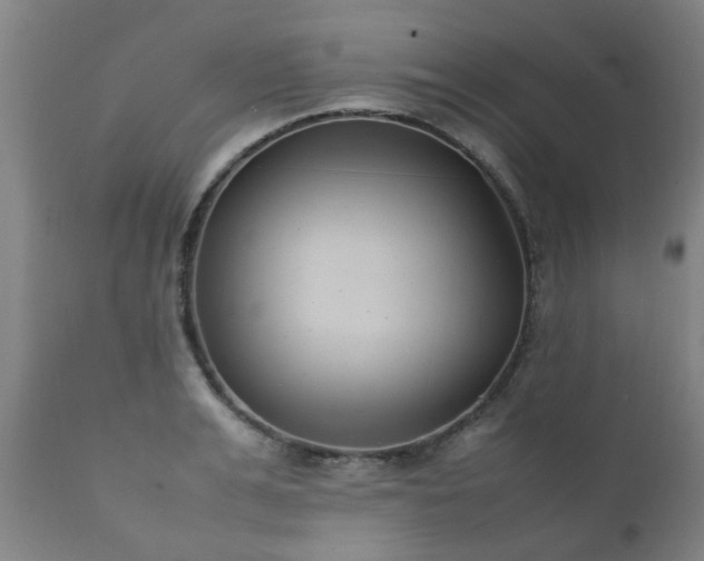 X0000112410991200908211118