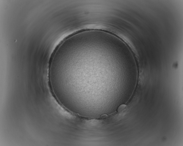 X0000112410992200908211118