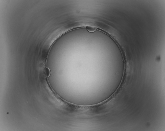 X0000112410993200908211118