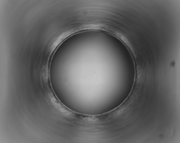 X0000112410994200908211118