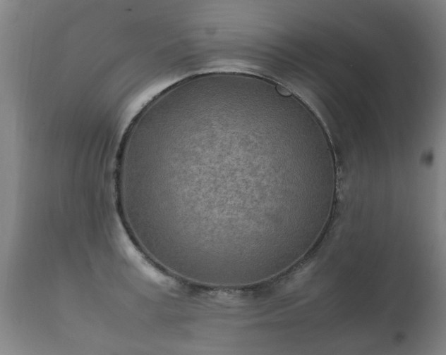 X0000112410995200908211118