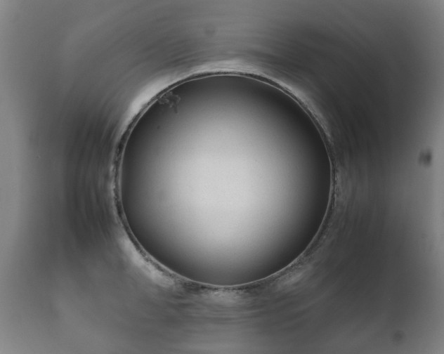 X0000112410998200908211118
