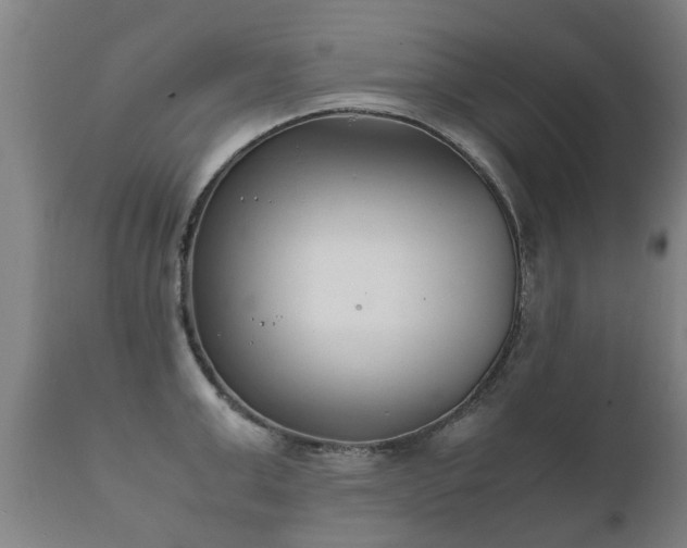 X0000112410999200908211118