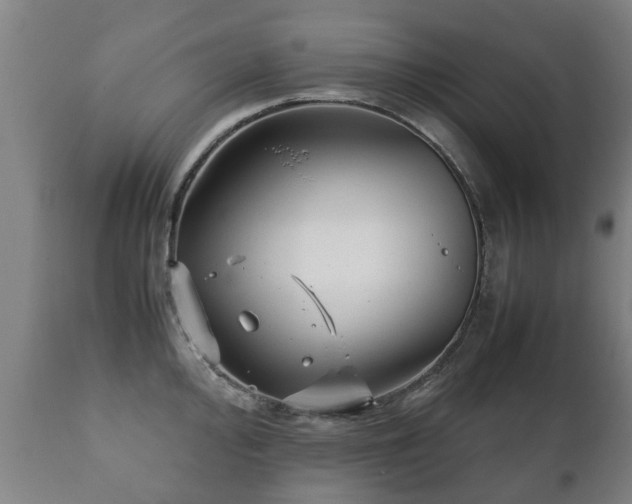 X0000112411000200908211118