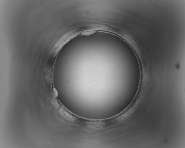 X0000112411001200908211118