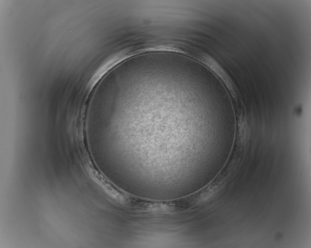 X0000112411002200908211118