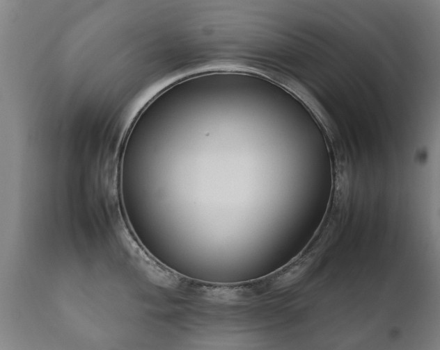 X0000112411004200908211118