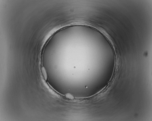 X0000112411005200908211118
