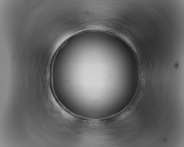 X0000112411007200908211118