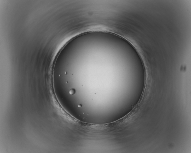 X0000112411008200908211118