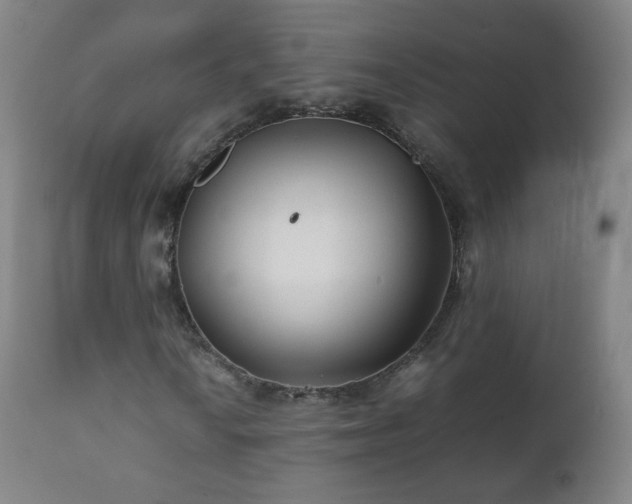 X0000112411010200908211117