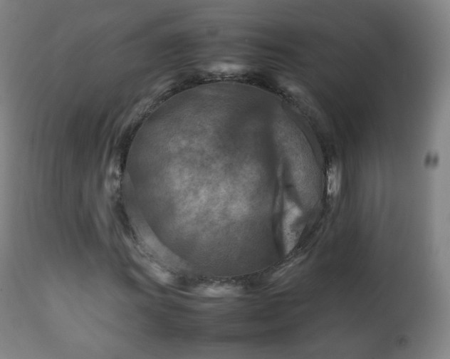 X0000112411011200908211117