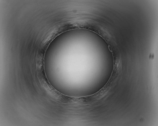 X0000112411012200908211117