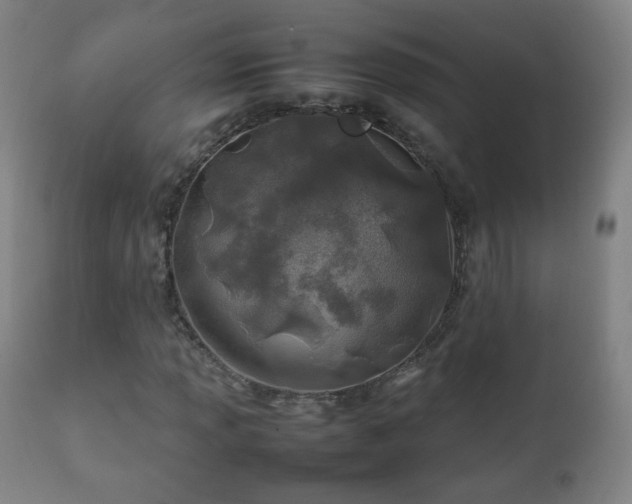 X0000112411013200908211117