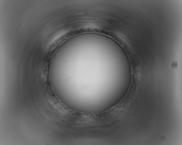 X0000112411015200908211117