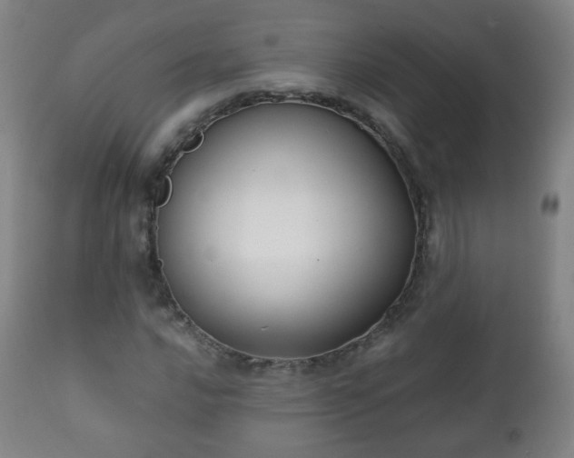 X0000112411016200908211117