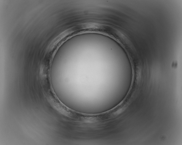 X0000112411017200908211117