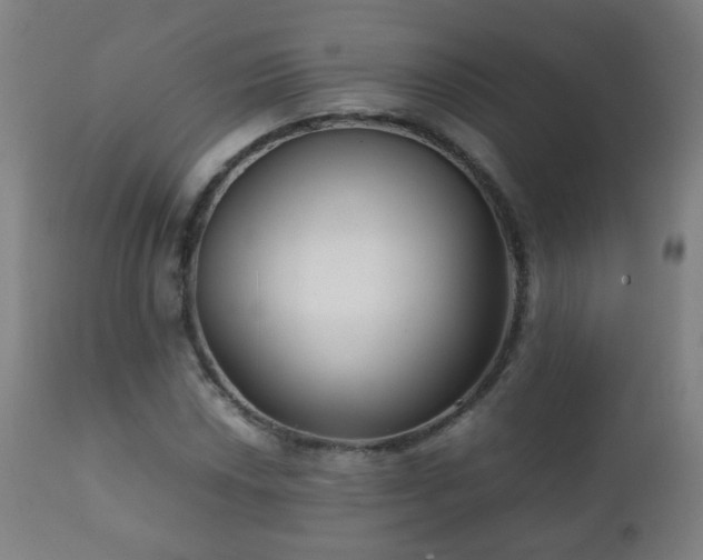 X0000112411018200908211117