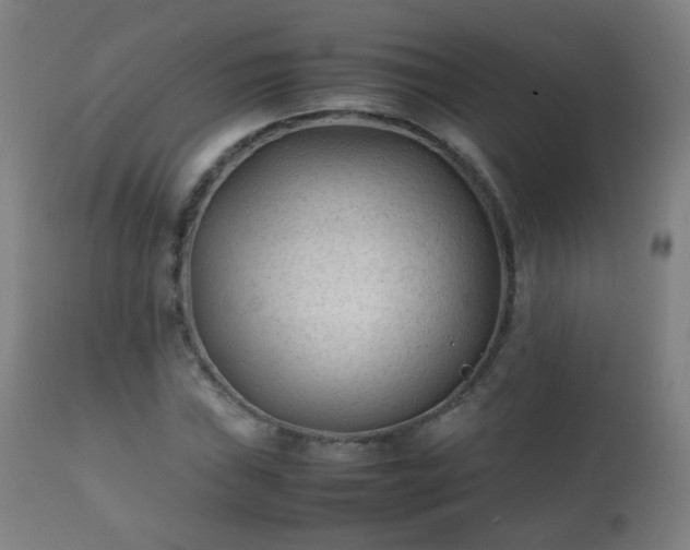 X0000112411019200908211117