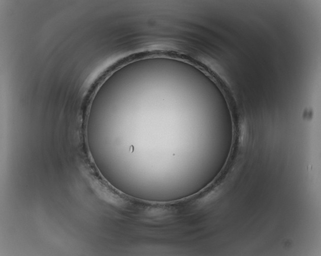 X0000112411021200908211117