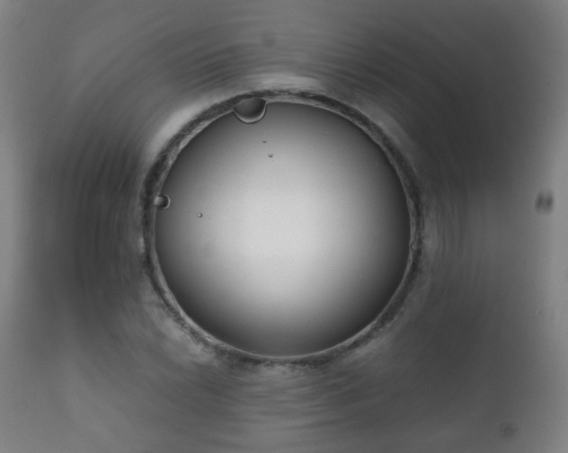 X0000112411022200908211117