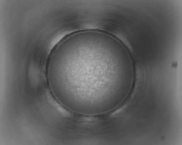 X0000112411023200908211117