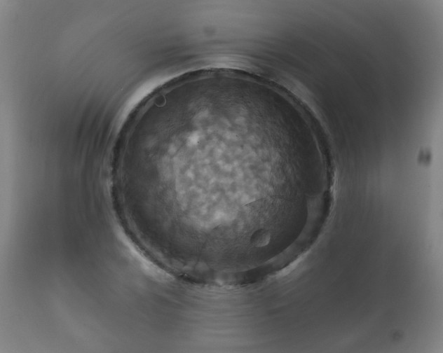 X0000112411024200908211117