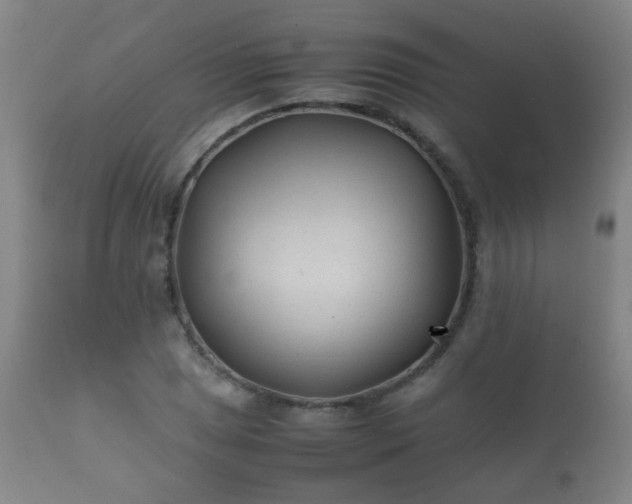 X0000112411025200908211117