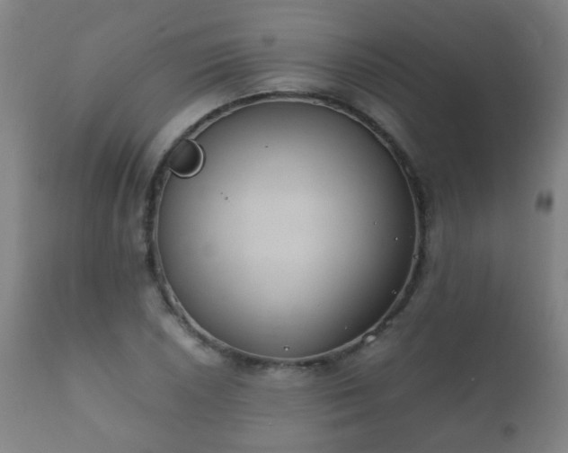 X0000112411026200908211117