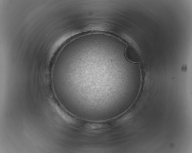 X0000112411027200908211117