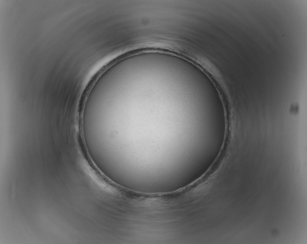 X0000112411028200908211117