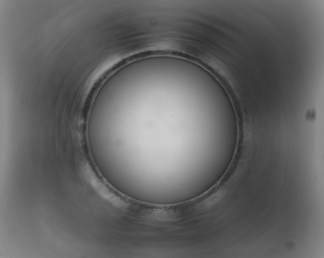 X0000112411029200908211117