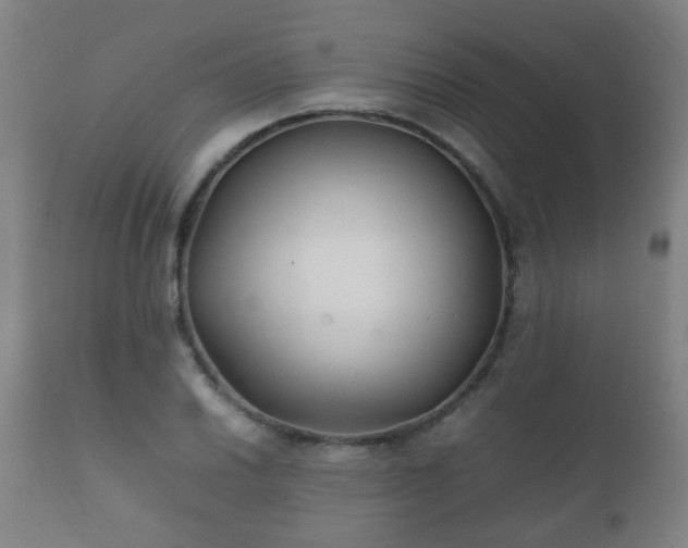 X0000112411030200908211117