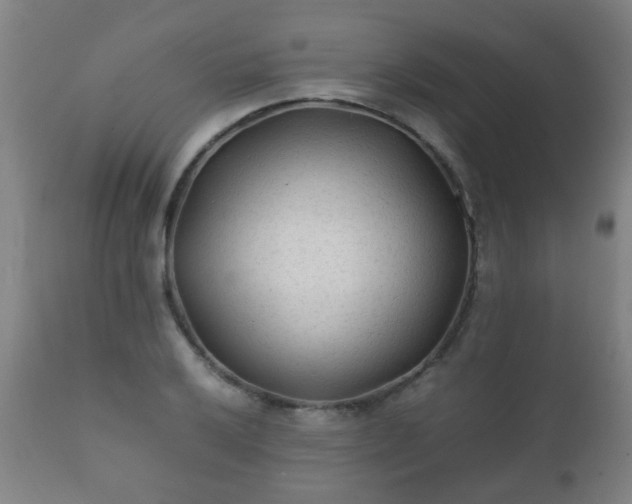 X0000112411032200908211117