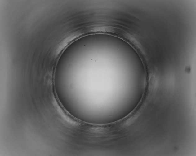 X0000112411033200908211117