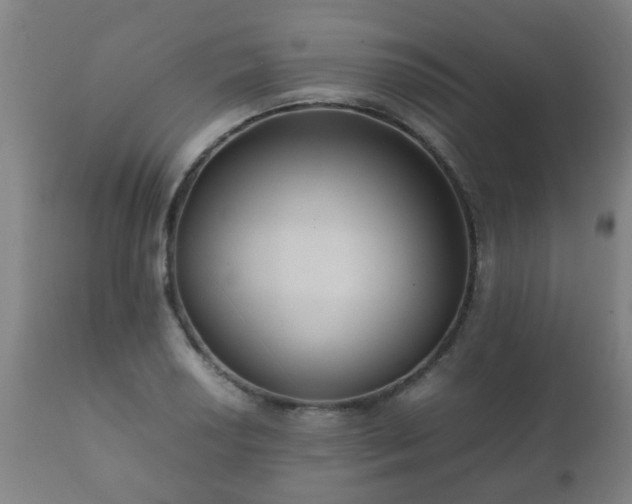 X0000112411034200908211117